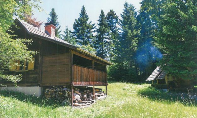 NA PRODAJU VIKENDICA SA 32 ARA PLACA NA TARI