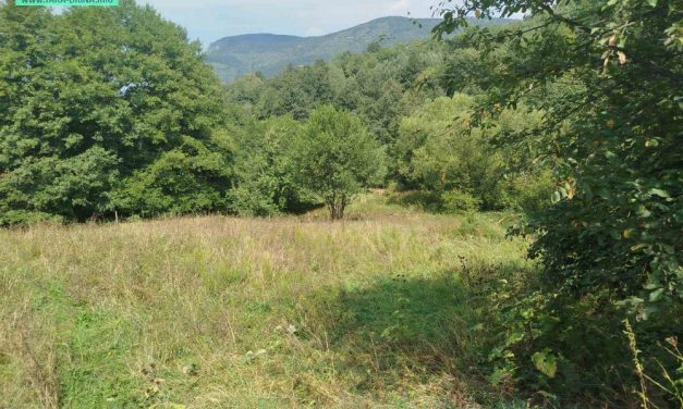 NA PRODAJU ZEMLJIŠTE NA TARI U JAGOŠTICI