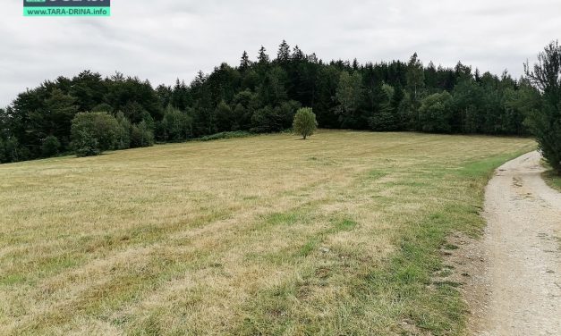 NA PRODAJU GRAĐEVINSKO ZEMLJIŠTE NA TARI