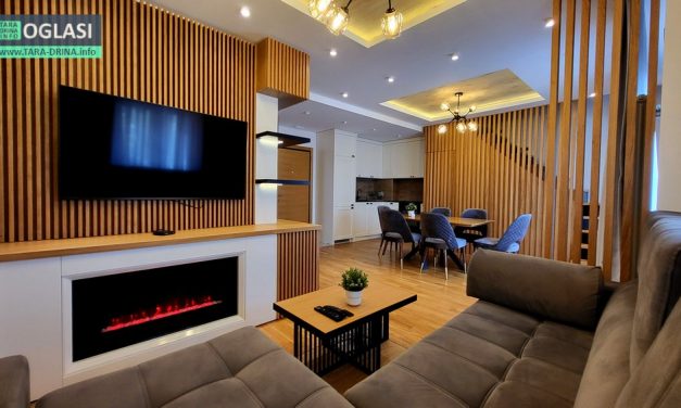 NA PRODAJU DVA DUPLEKS STANA NA PLANINI TARI