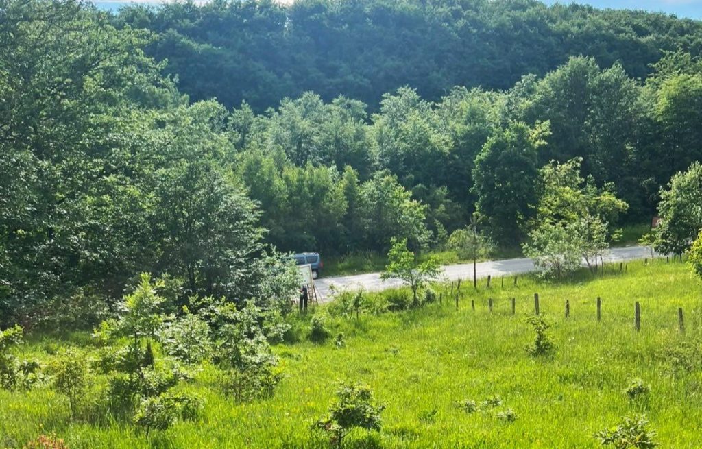 NA PRODAJU PLAC OD 10 ARI NA TARI - Tara nekretnine na prodaju