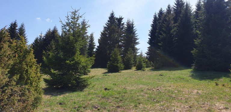 NA PRODAJU PLAC OD 10 ARI U NASELJU SEKULIĆ NA TARI - Tara nekretnine na prodaju