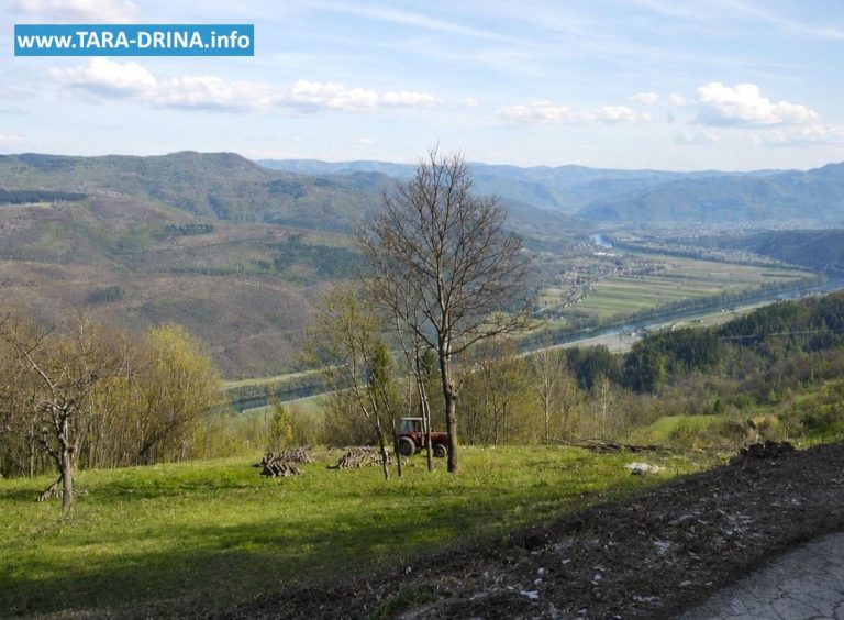 NA PRODAJU VELIKI PLAC NA TARI – OSLUŠA / BESEROVINA - Tara nekretnine na prodaju
