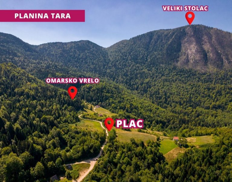 PLAC NA JEDNOJ OD NAJLEPŠIH LOKACIJA NA TARI – PREDOV KRST - Tara nekretnine na prodaju