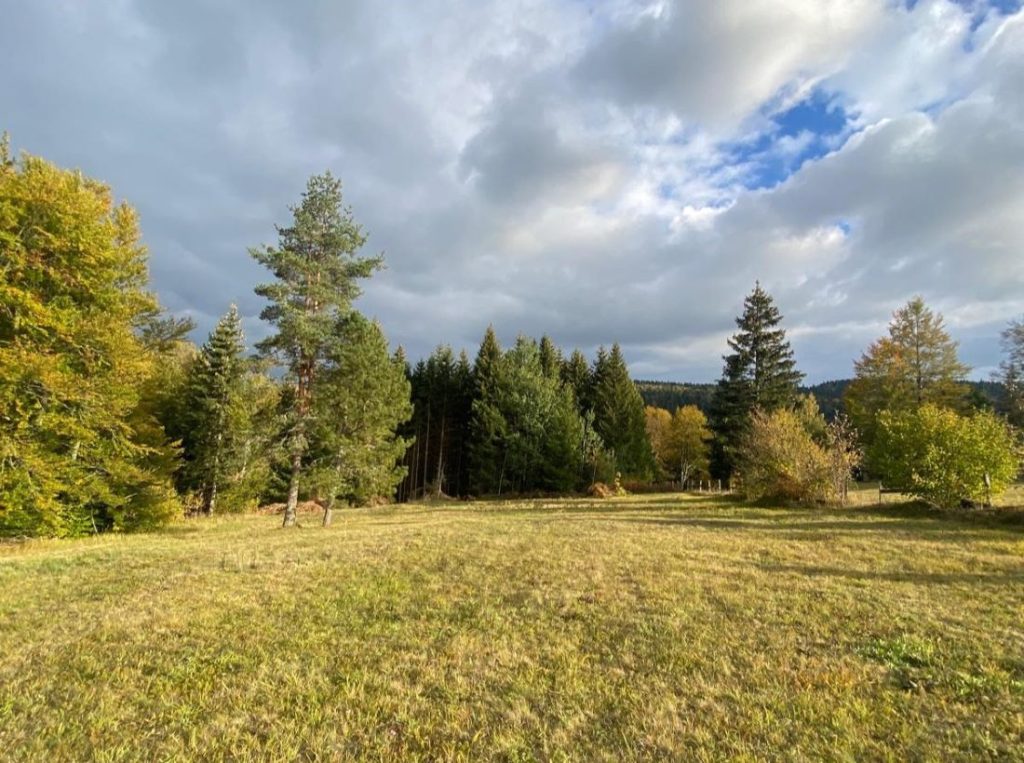 NA PRODAJU PLAC NA OSLUŠI NA TARI - Tara nekretnine na prodaju