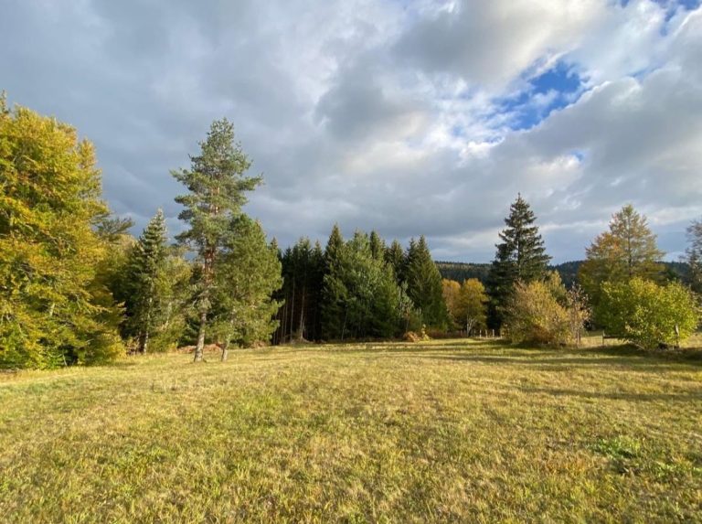 NA PRODAJU PLAC NA OSLUŠI NA TARI - Tara nekretnine na prodaju